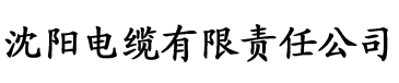 包玉婷民工电缆厂logo